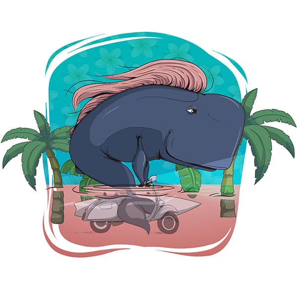 Whale on a Vespa