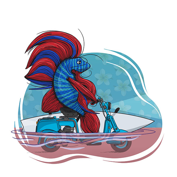 seacreaturelife